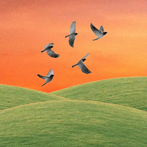 andrea cerrato - quella libertà